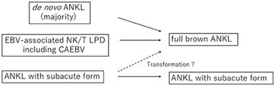 Aggressive NK-Cell Leukemia